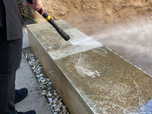 Best Roof Pressure Washing  in Perry, IA