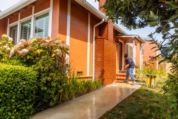 Best Deck Cleaning Services  in Perry, IA